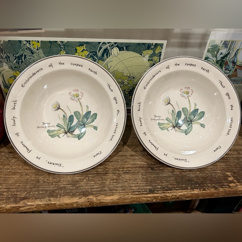 Noritake Country Diary of an Edwardian Lady Cereal Bowls, set of 2